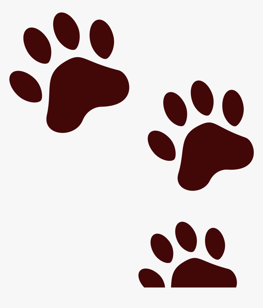 Bear Shop Of Library Buy Clip Art, HD Png Download