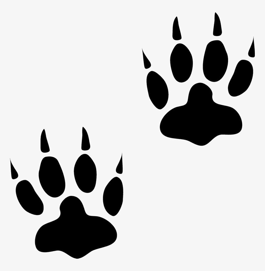 Transparent Bear Paw Print Png, Png Download