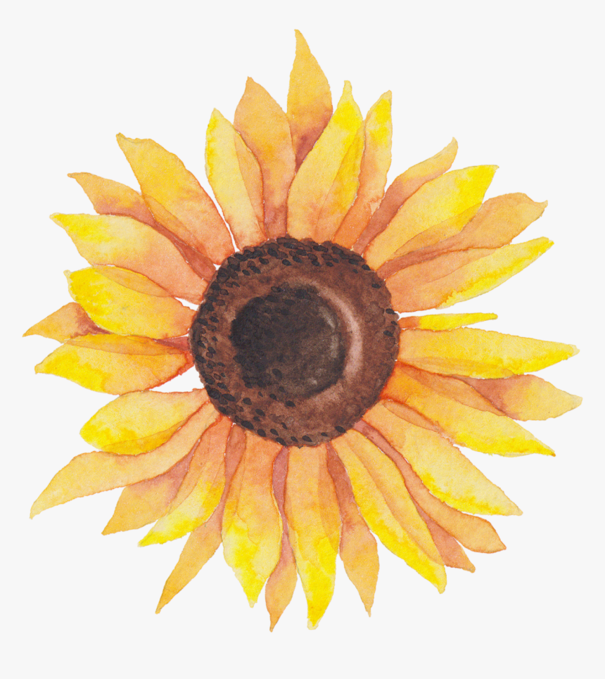 Svg Library Library Self Portraits Catherine Holmes, HD Png Download