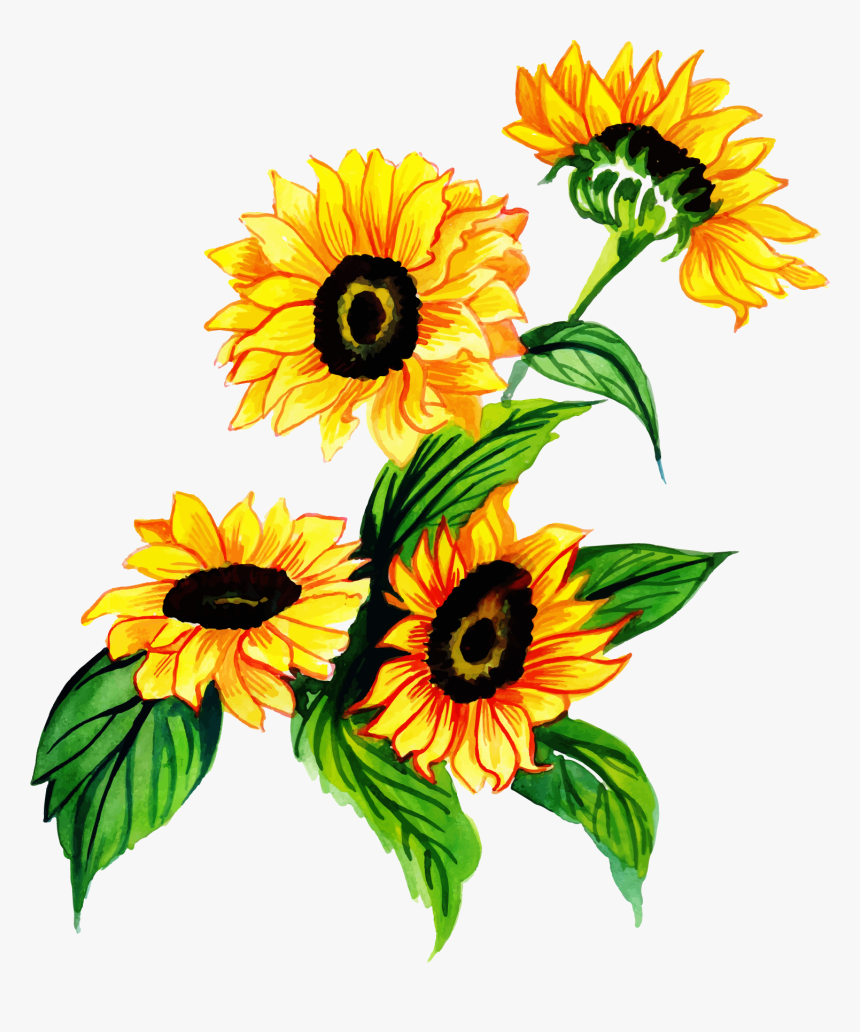 Watercolor Sunflower Png, Transparent Png