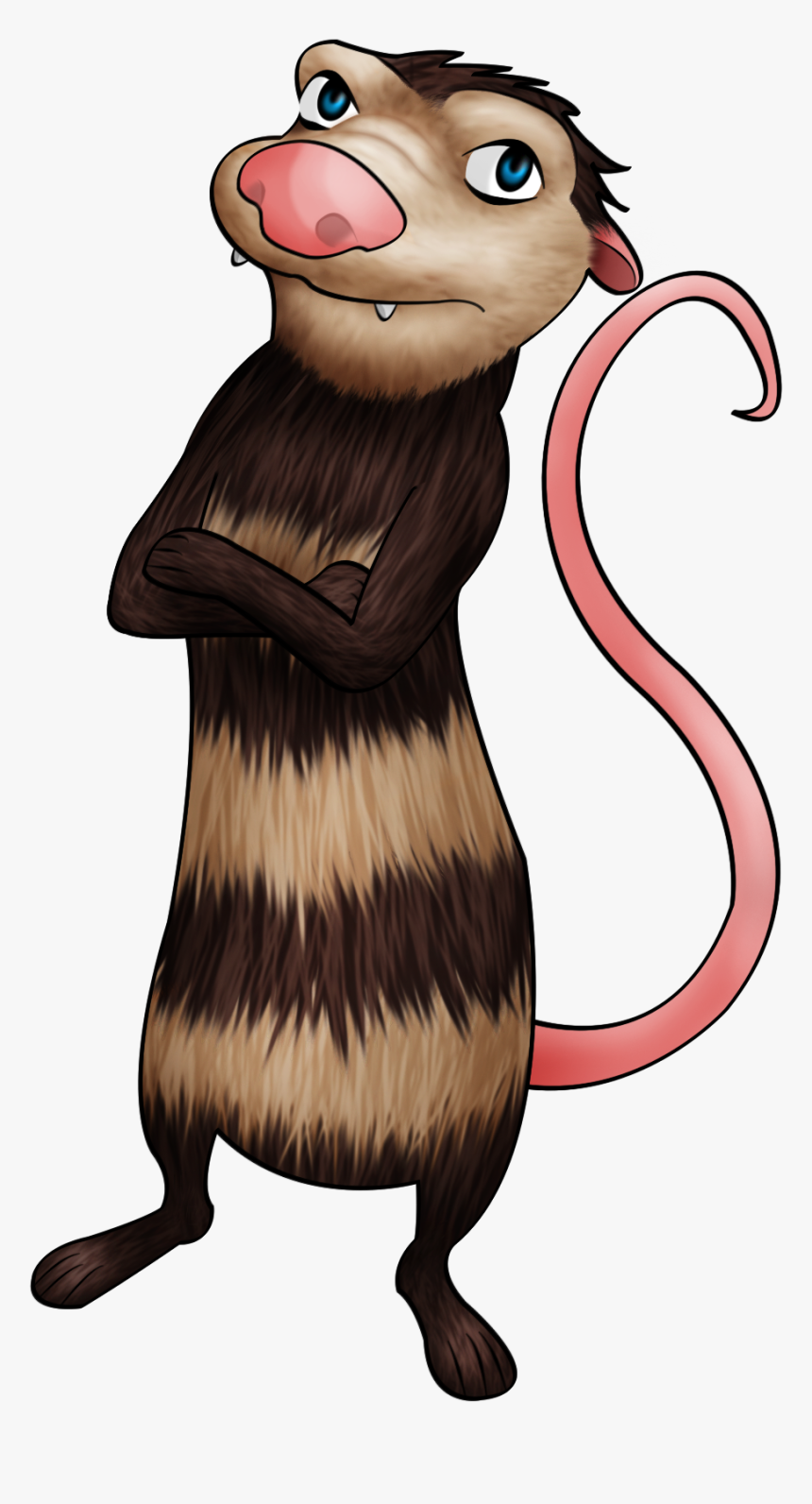 Toon Crash V2, HD Png Download