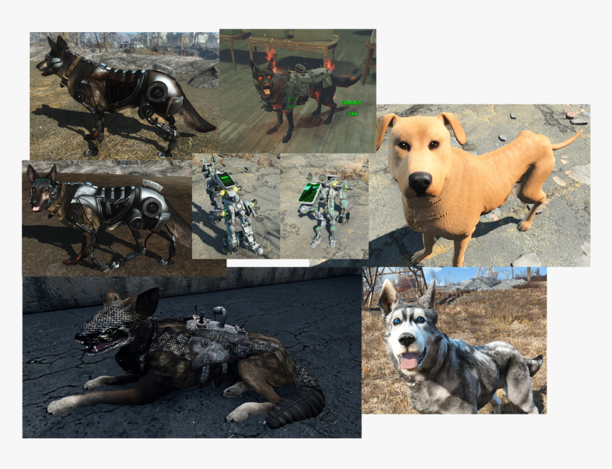 View Samegoogleiqdbsaucenao Dogmods ,, HD Png Download