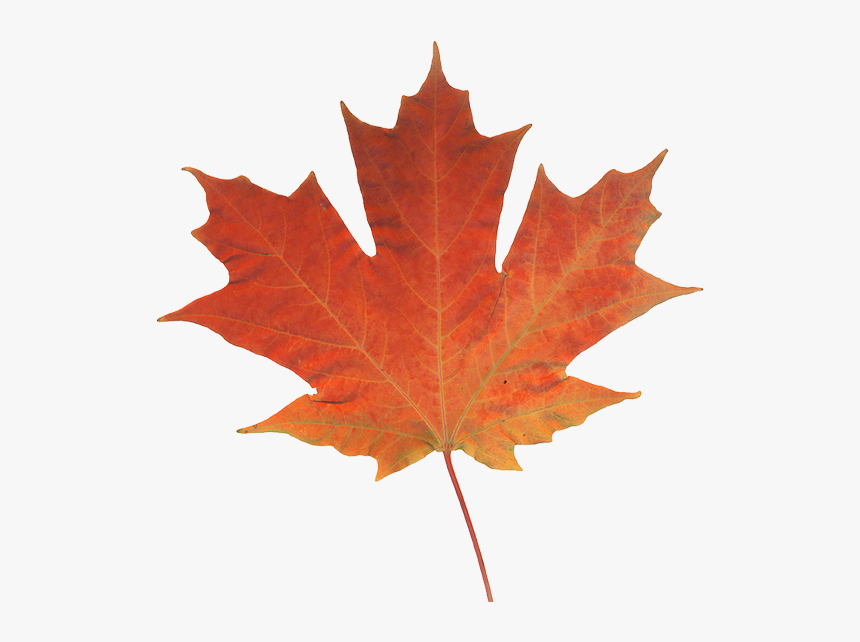 Offices Across Western Canada, HD Png Download
