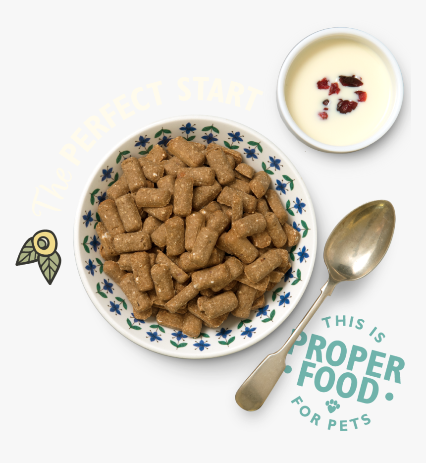 Dogmeat Png, Transparent Png