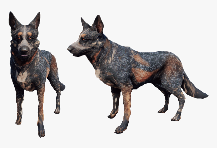 Dogmeat Png, Transparent Png