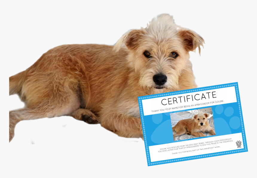 Dogmeat Png, Transparent Png