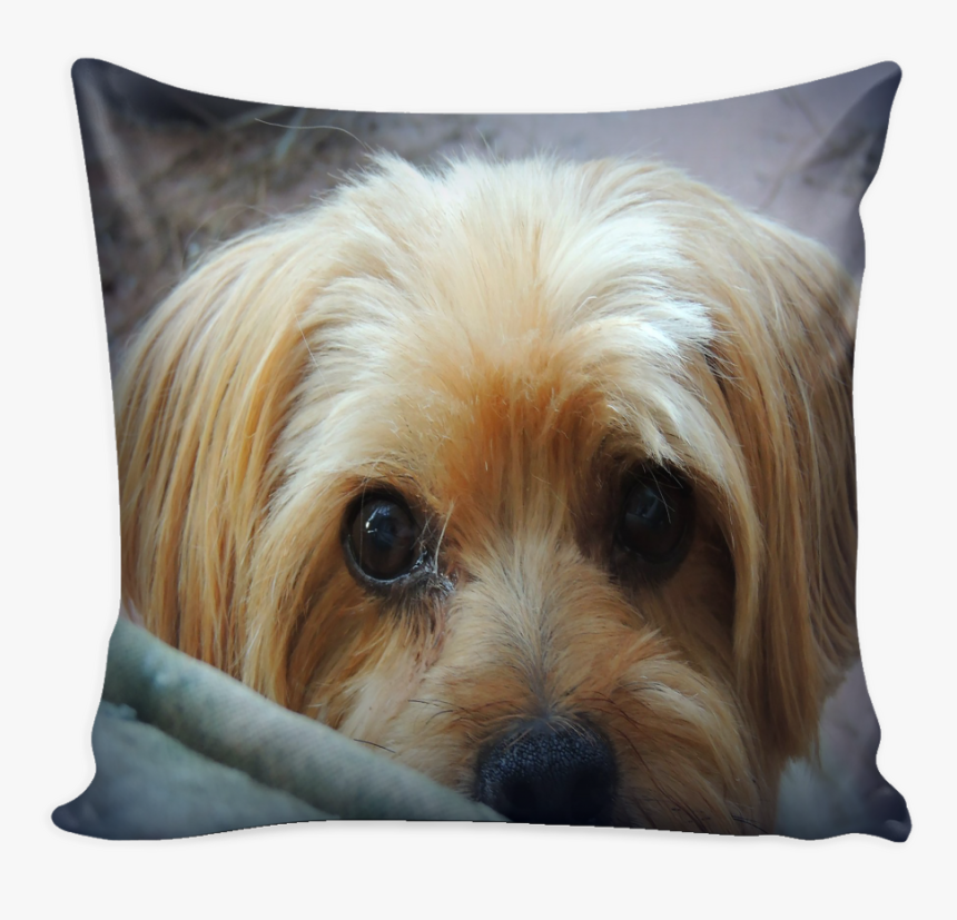 Dogmeat Png, Transparent Png