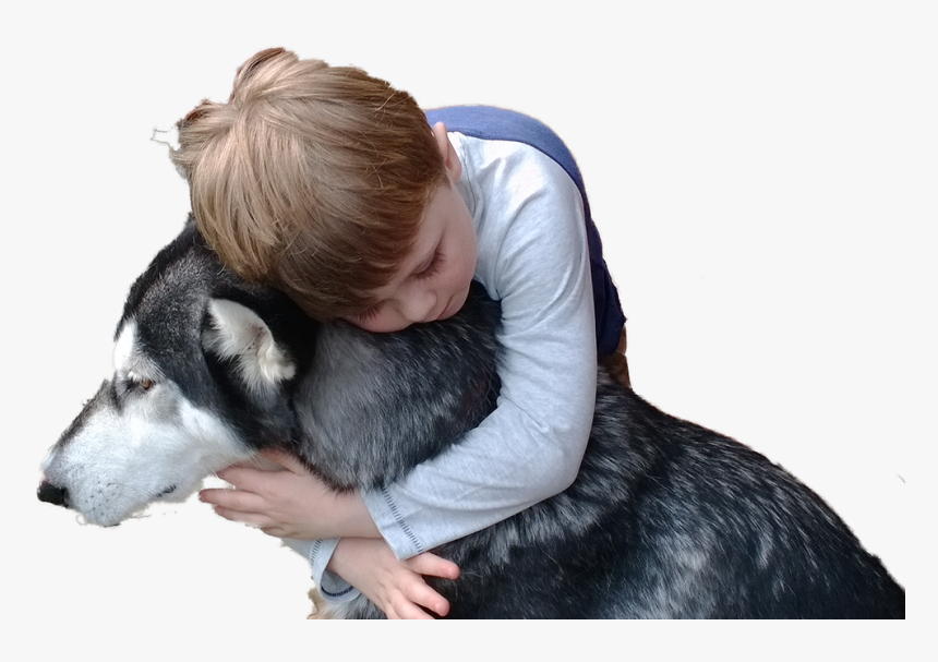 Dogmeat Png, Transparent Png