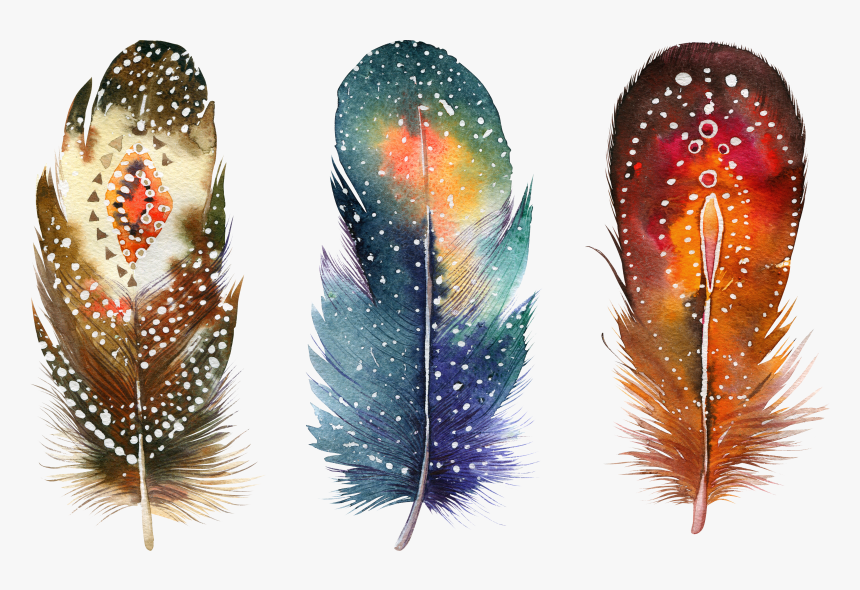 Watercolor Painting Feather, HD Png Download