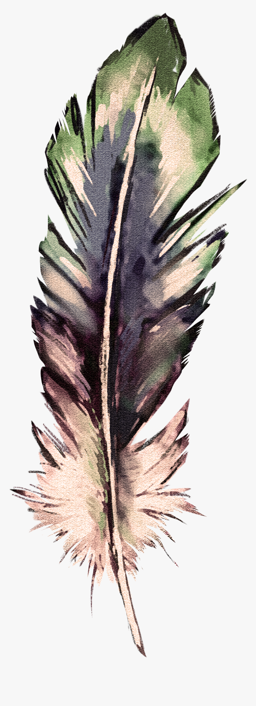 Watercolor Feather Png, Transparent Png