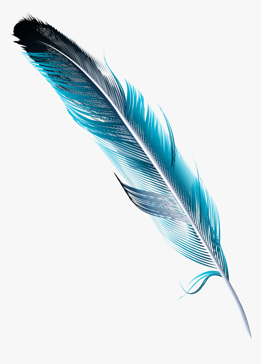Feather Watercolor Png Download Transparent Png Transparent Png Image Pngitem