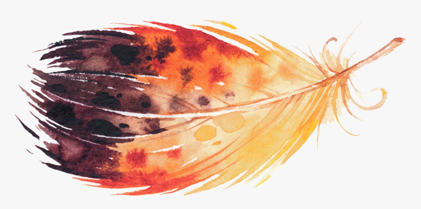 Watercolor Feather Png, Transparent Png