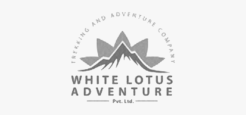 White Lotus Png, Transparent Png