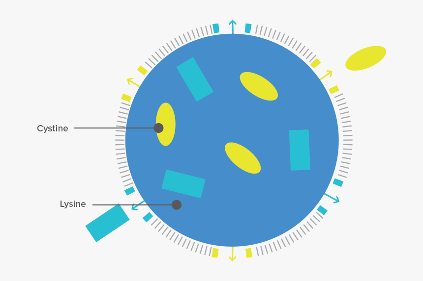 Why So Serious Png, Transparent Png