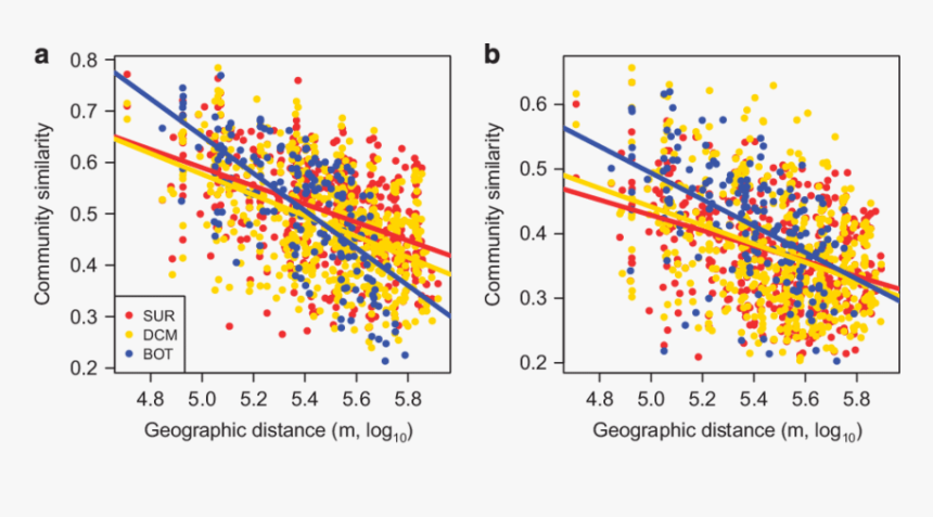 Curtis Axel Png, Transparent Png