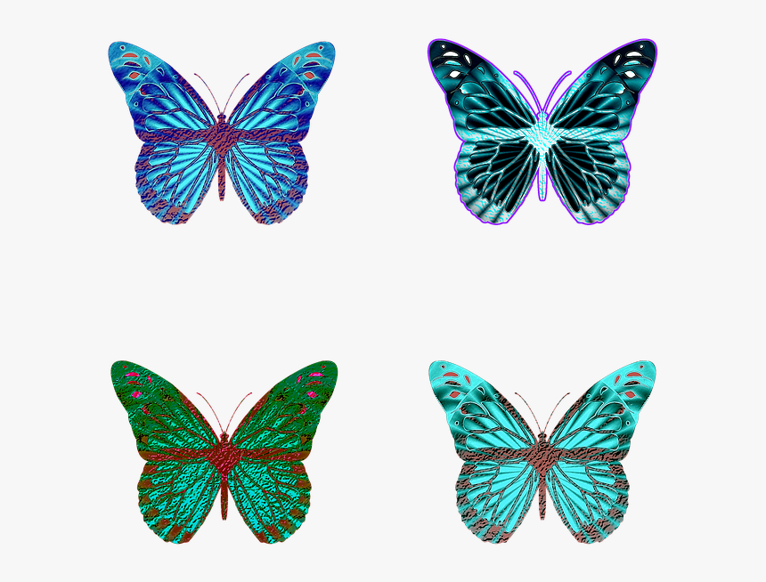 Butterfly, Butterflies, Iridescent, Wings, Op-art, HD Png Download