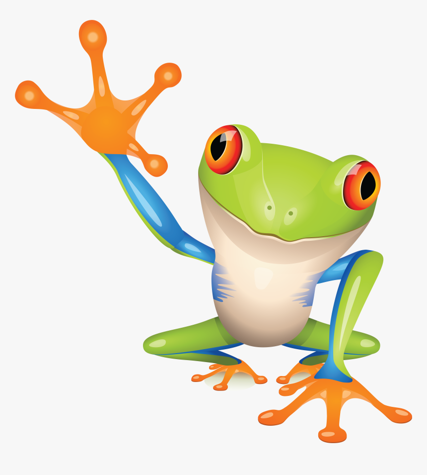 Tree Frog Cartoon, HD Png Download