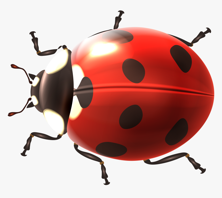 Transparent Png Clip Art Transparent Background, Png Download