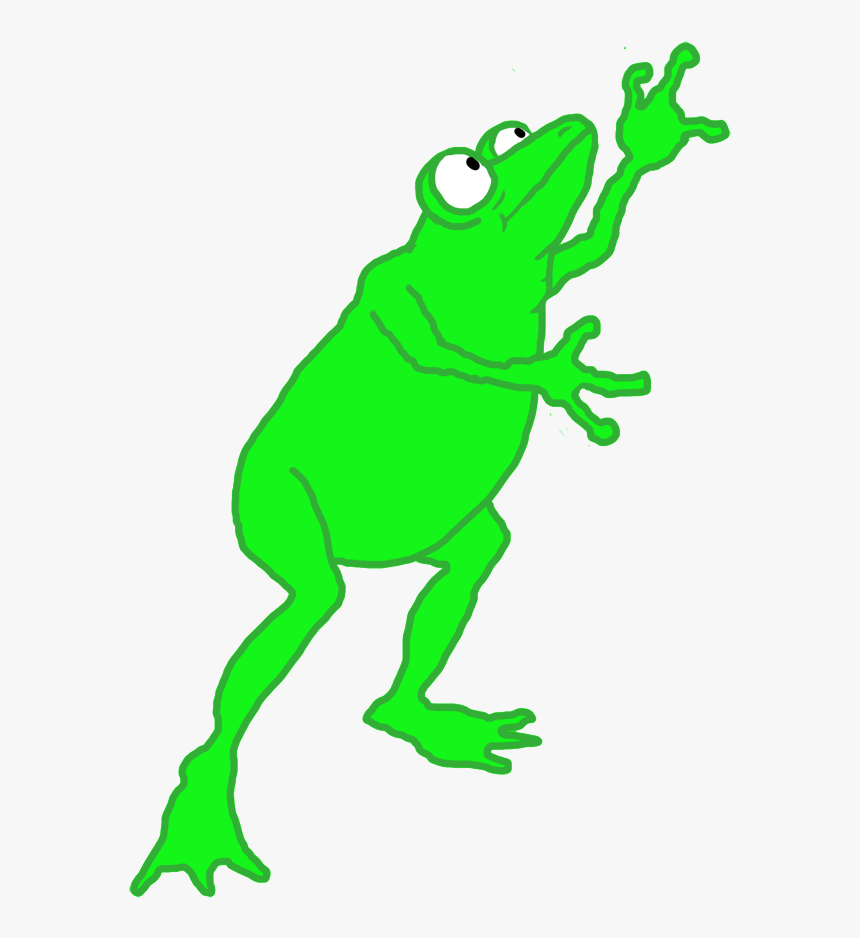 Transparent Frogs Clipart, HD Png Download