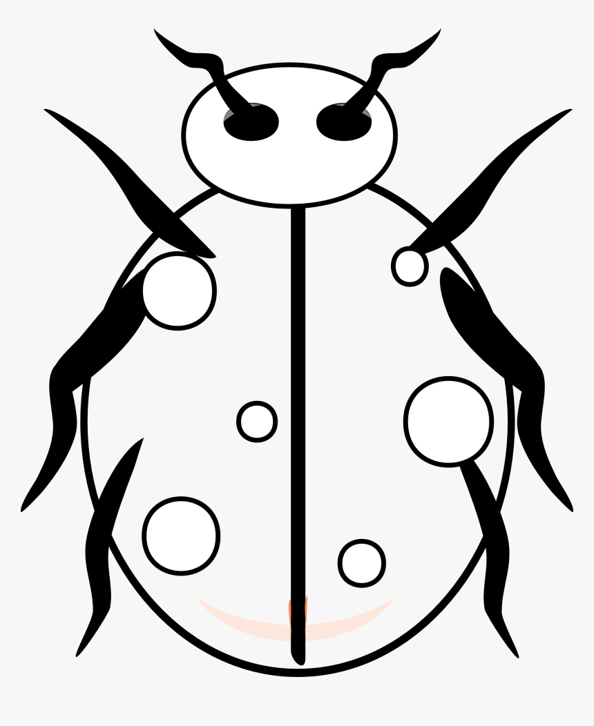 Cute Ladybug Png, Transparent Png