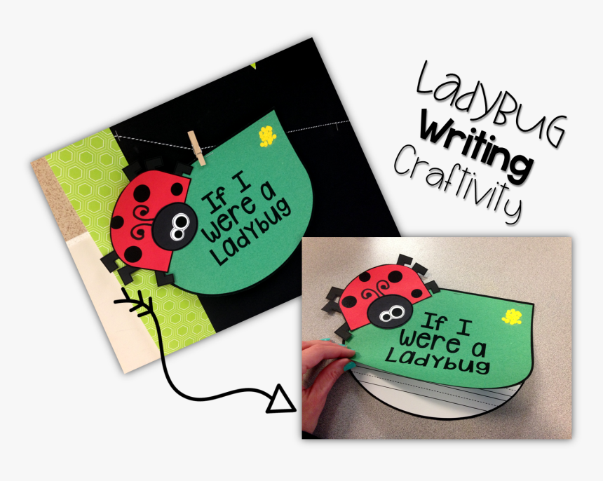 Cute Ladybug Png, Transparent Png