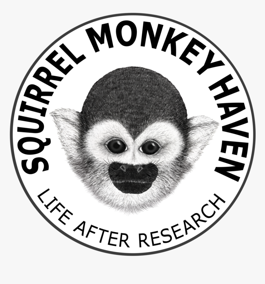 *coming Soon* Monkey Face Sticker, HD Png Download