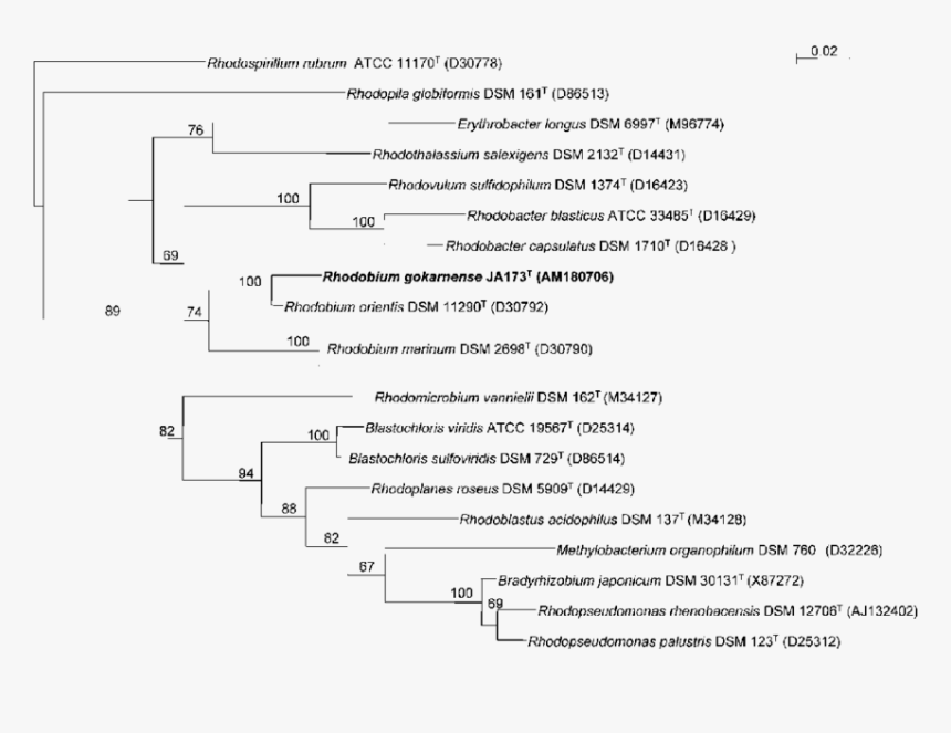 Transparent Kenshiro Png, Png Download