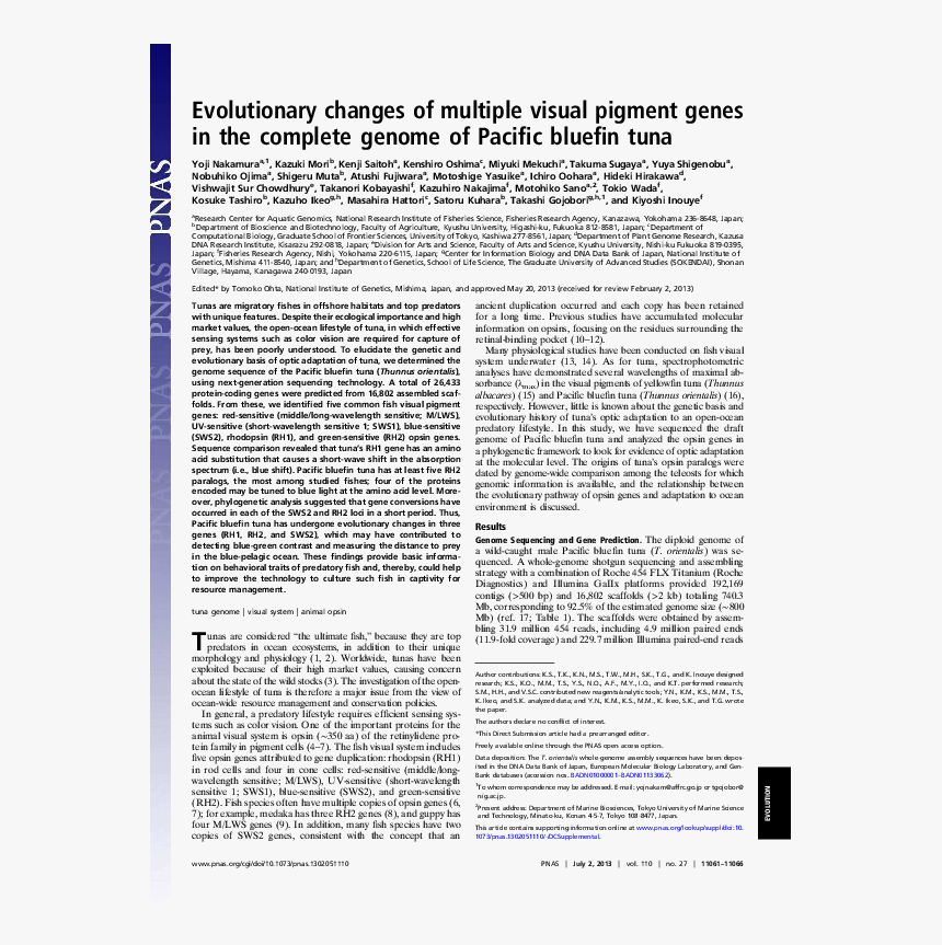 Kenshiro Png, Transparent Png