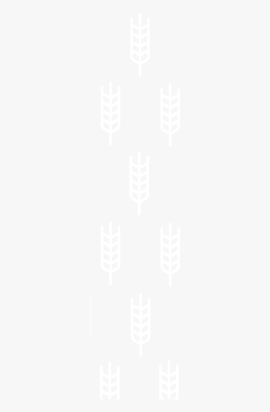 Given The Fact That Beers Like Budweiser, Miller And - Emblem, HD Png Download