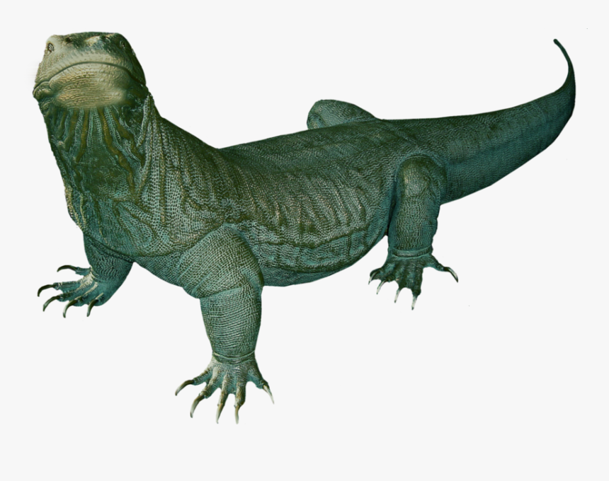 Komodo Dragon Png Clipart - Komodo Dragon Clipart, Transparent Png