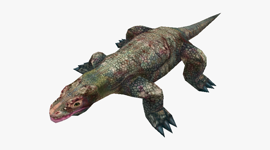 Download Zip Archive - Marine Iguana Transparent, HD Png Download