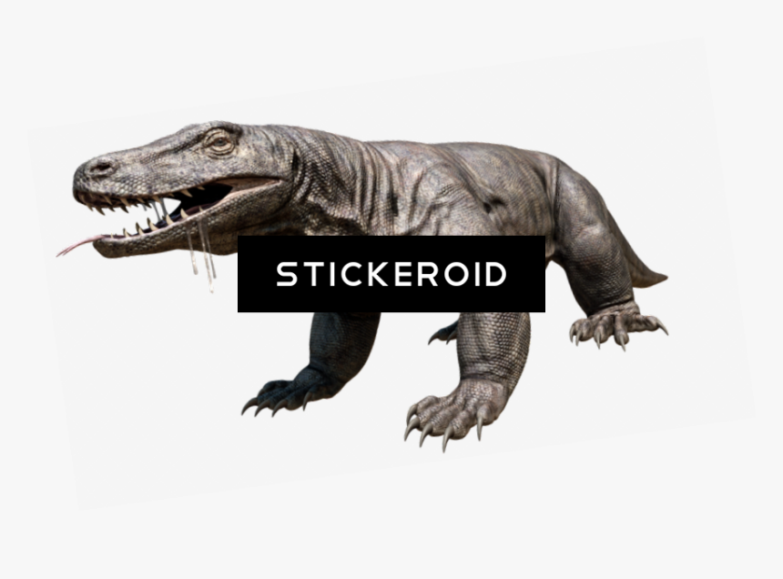 Komodo Dragon Hd , Png Download - Megalania Png, Transparent Png