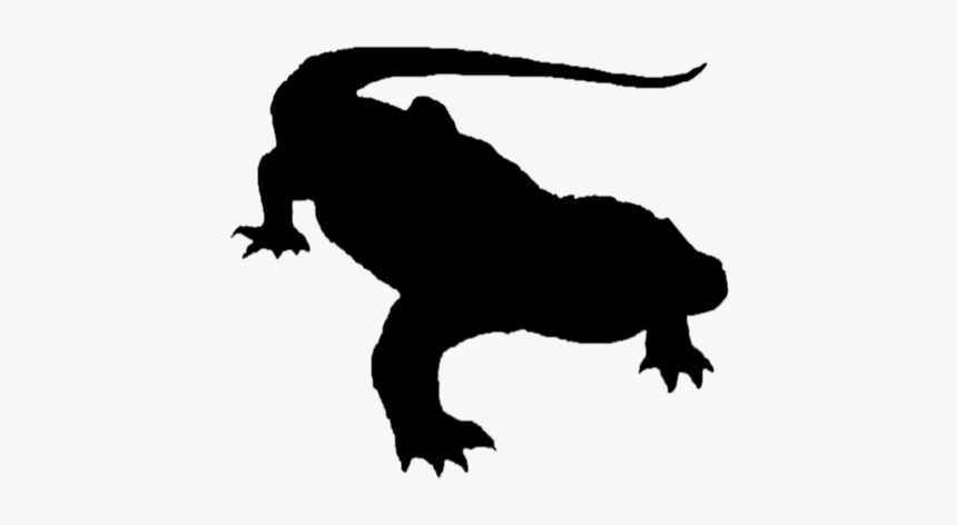 Komodo Dragon At Getdrawings - Komodo Dragon, HD Png Download