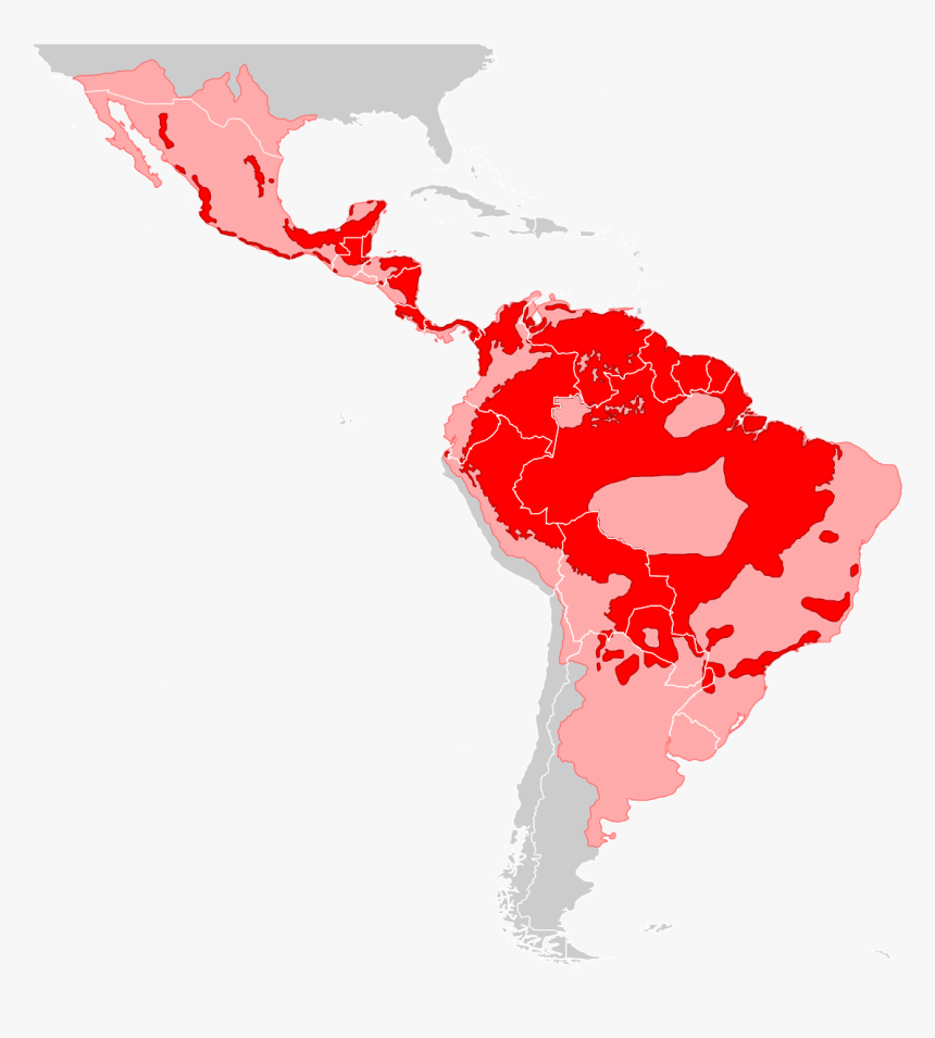 America Del Norte America Del Sur Y America Central, HD Png Download