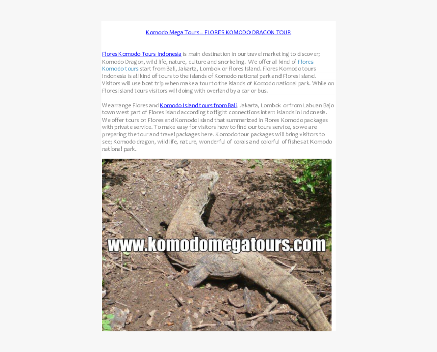 Alligator Lizard, HD Png Download