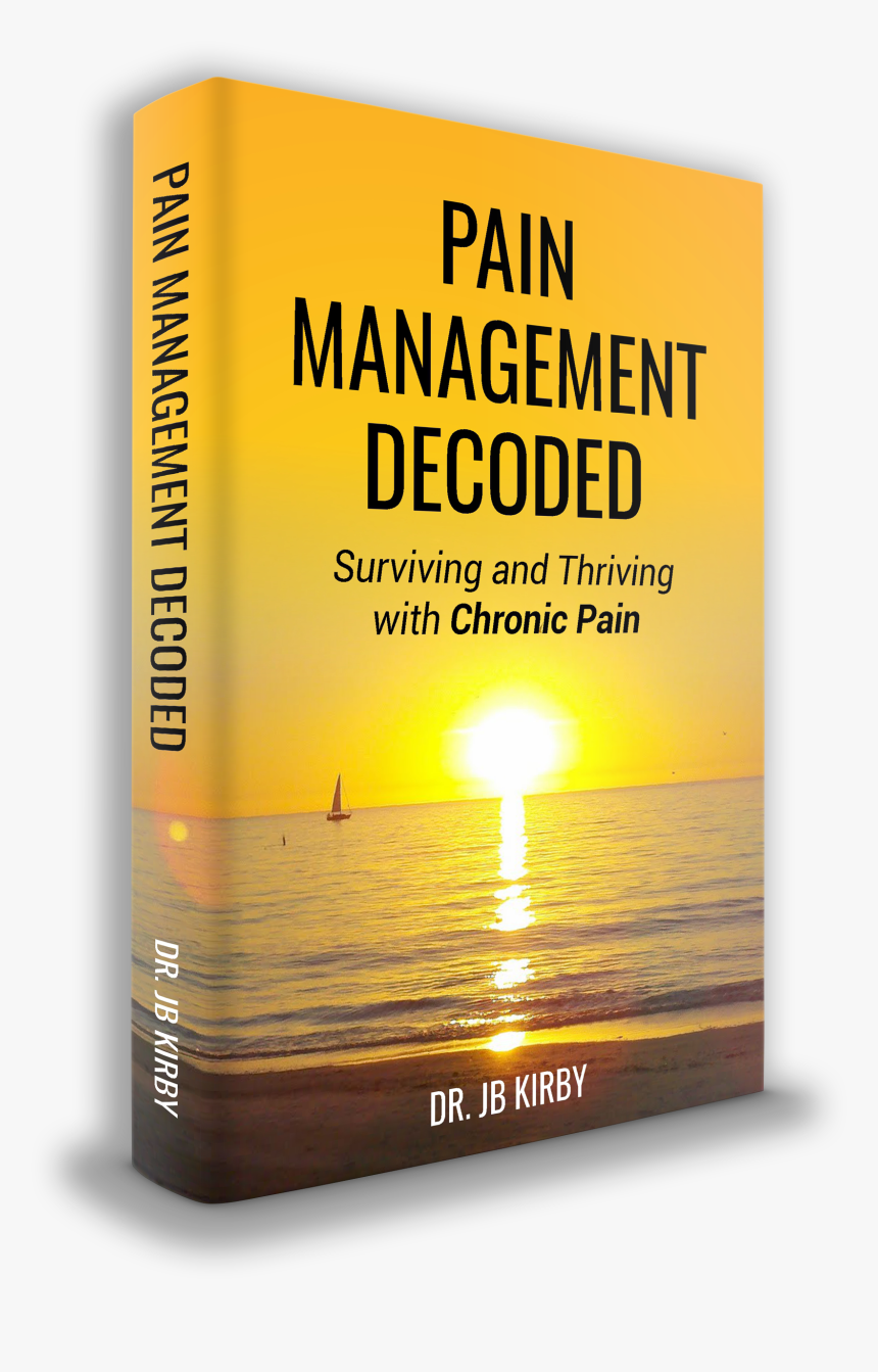 Pain Management Decoded By Dr Jb Kirby - Wealth Distribution In America 2011, HD Png Download