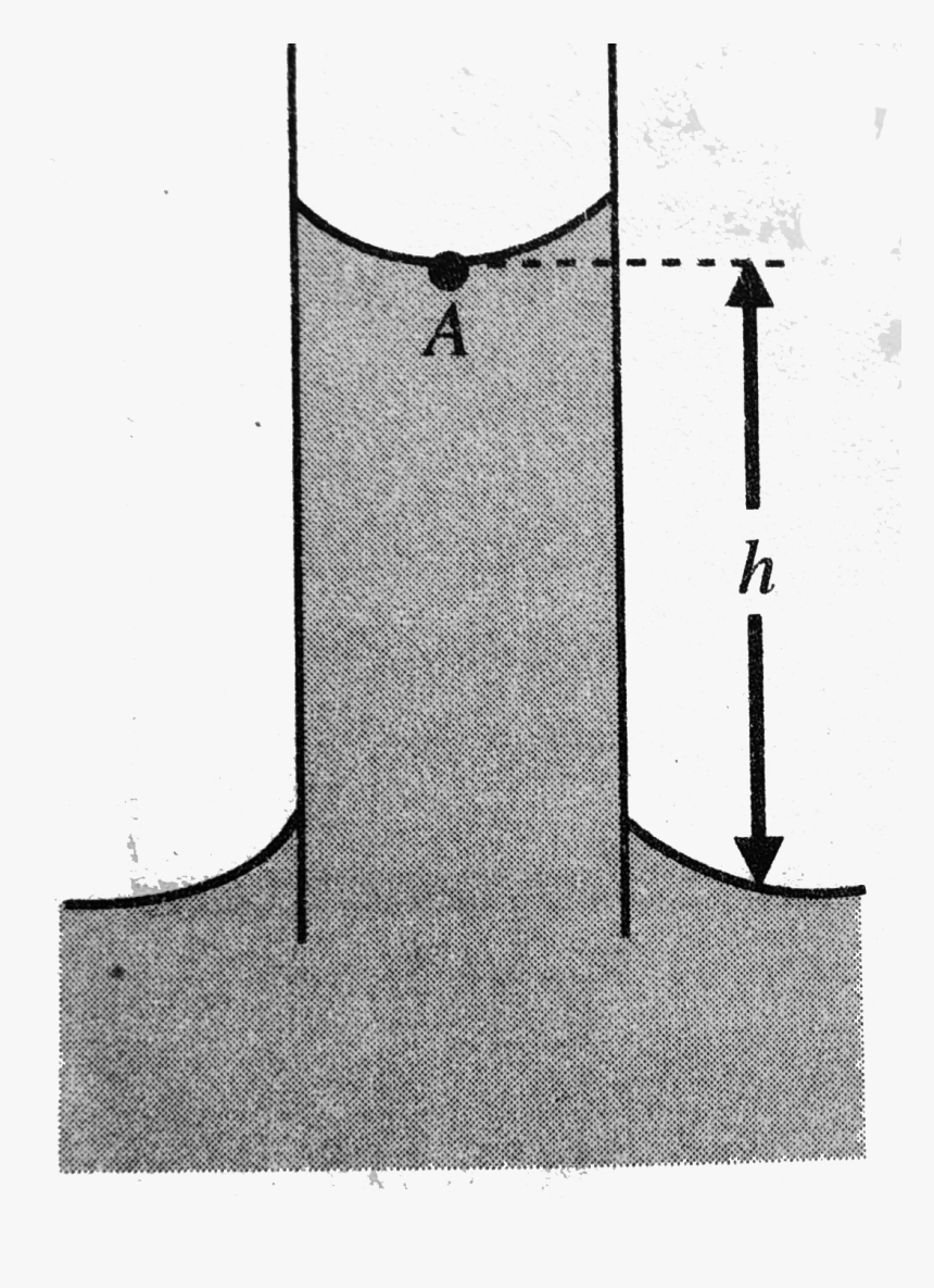 Parallel, HD Png Download