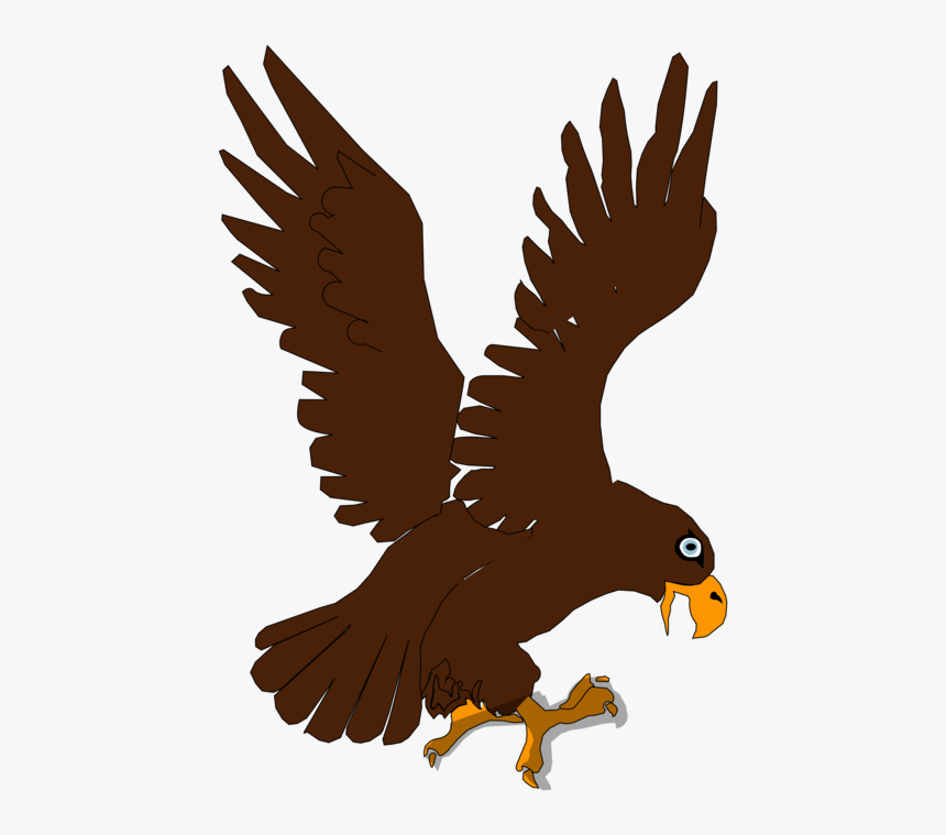 Transparent Prey Clipart - Eagle For Kids, HD Png Download