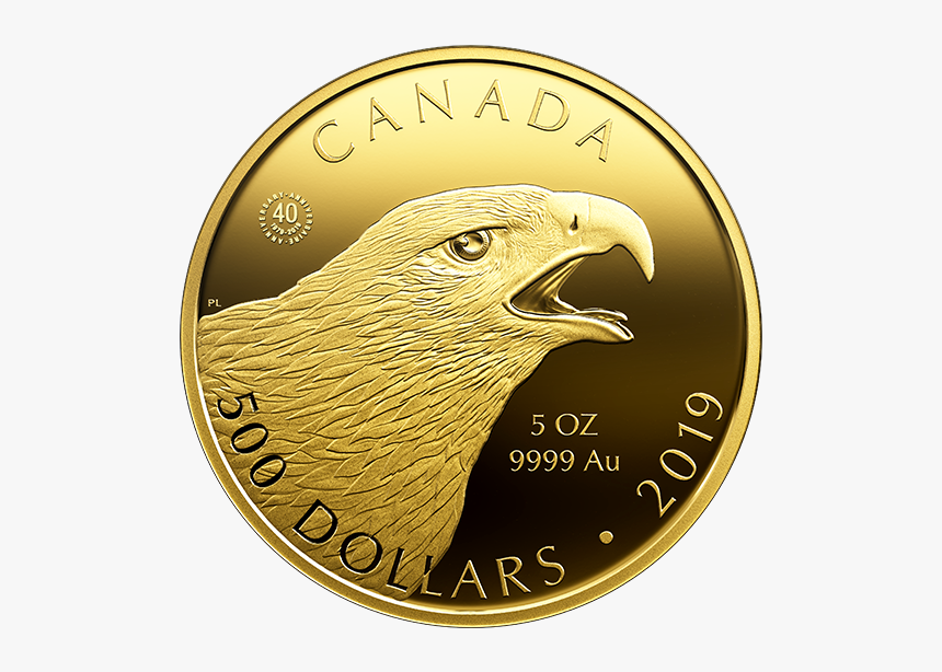2019 Gold Coins, HD Png Download