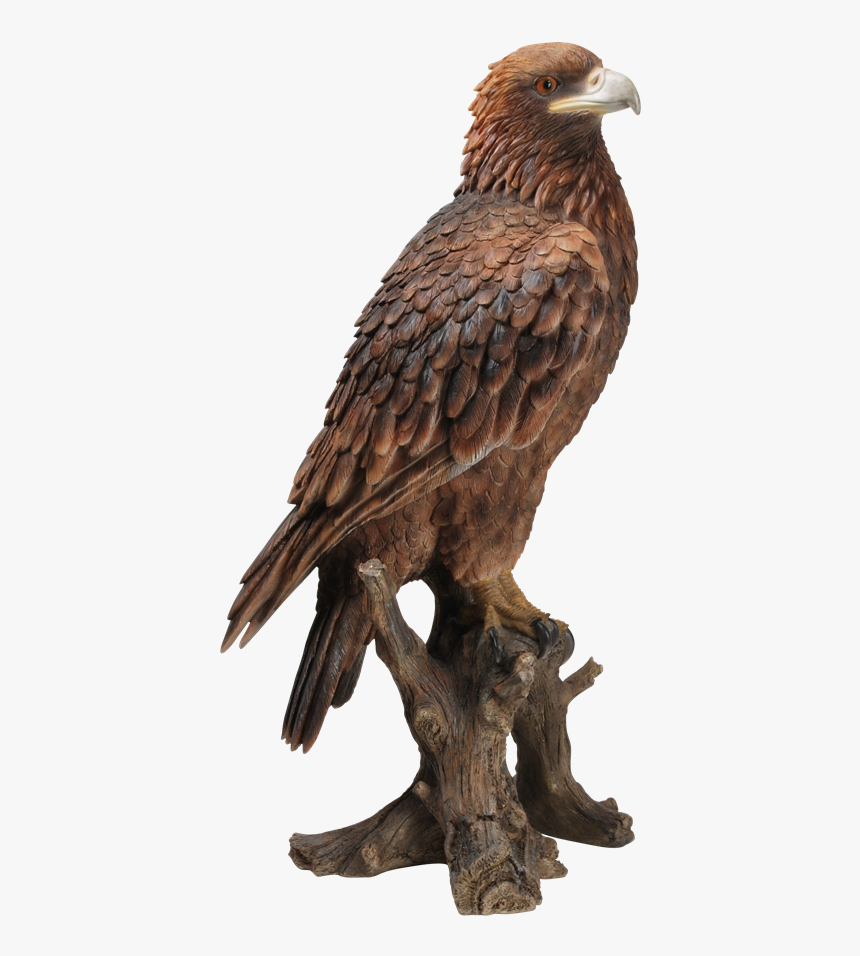 Small Pictures Of Golden Eagles, HD Png Download