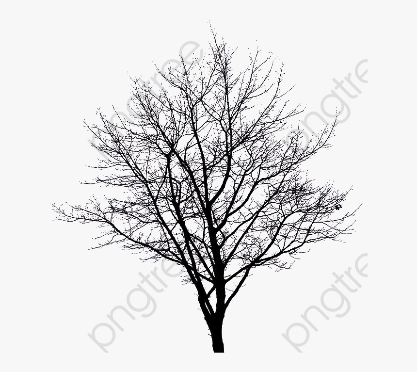 Apple Tree Clipart Winter - Winter Tree Silhouette Png, Transparent Png