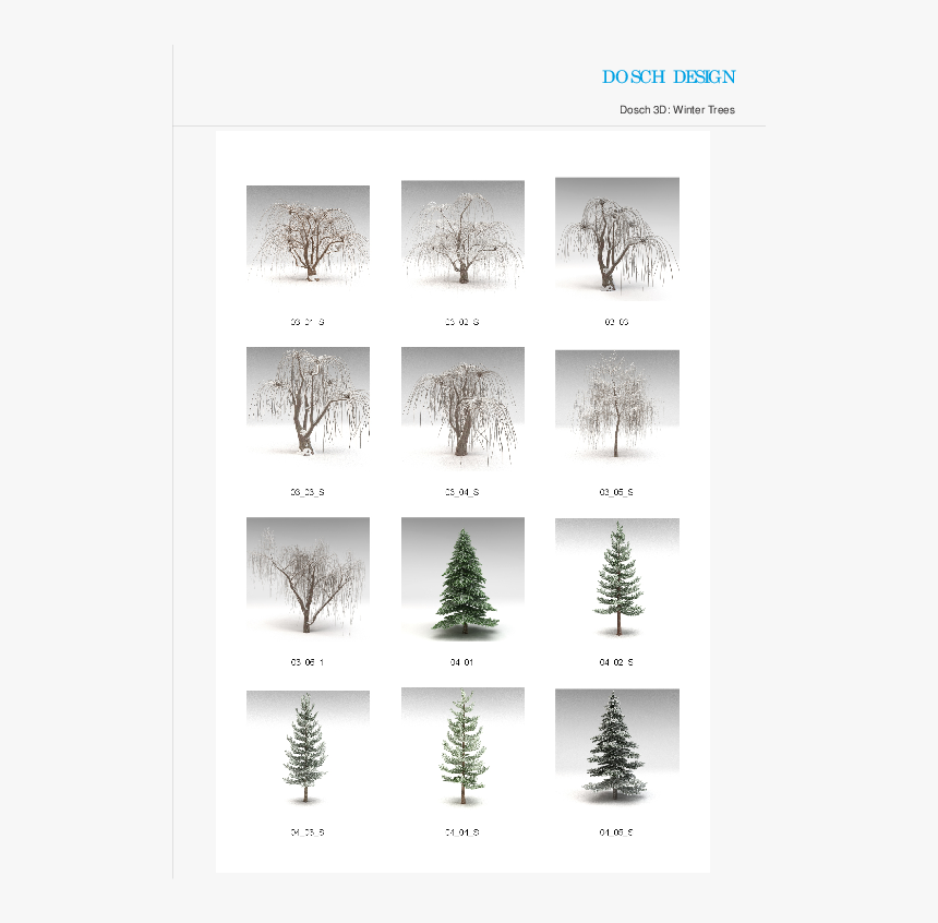 Christmas Tree, HD Png Download