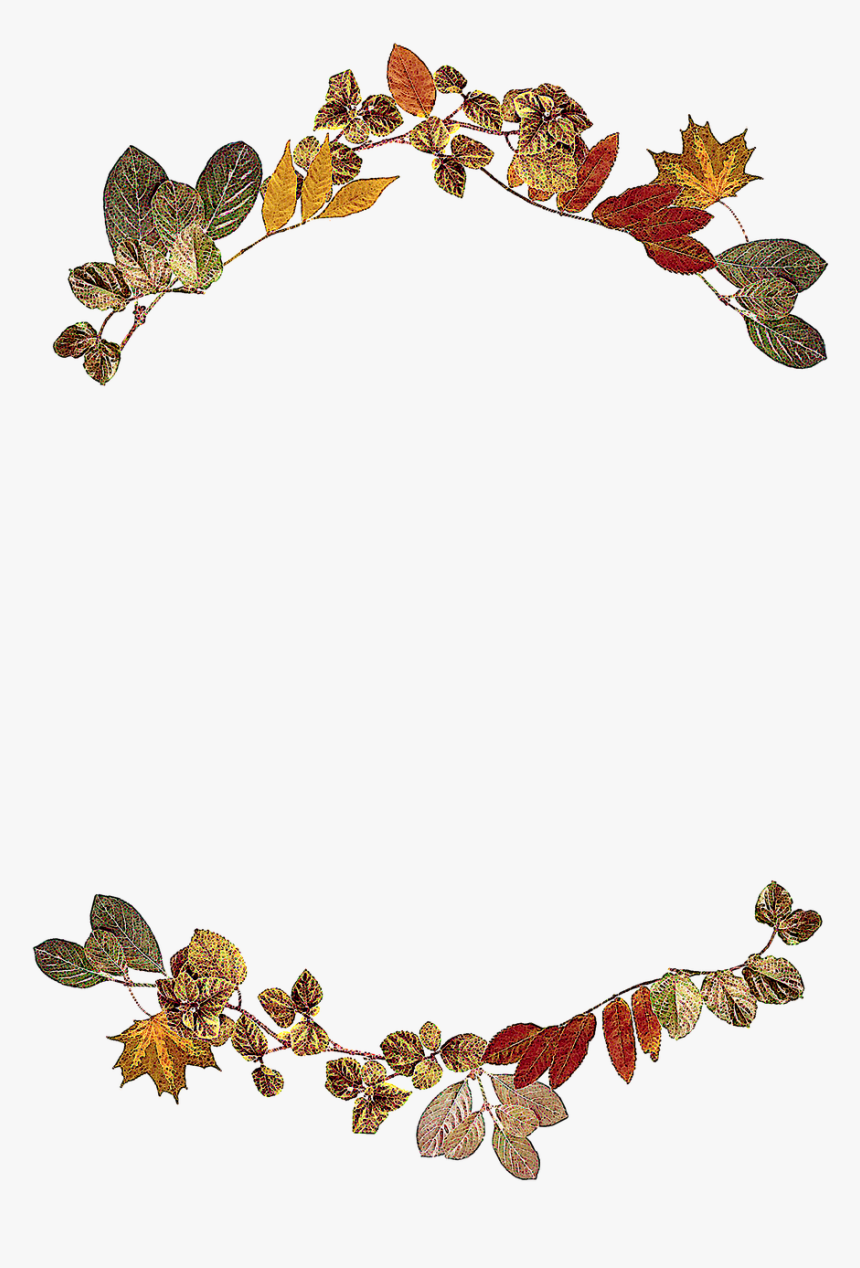 Autumn Scroll Cliparts 18, Buy Clip Art - Leaf Border Design, HD Png Download