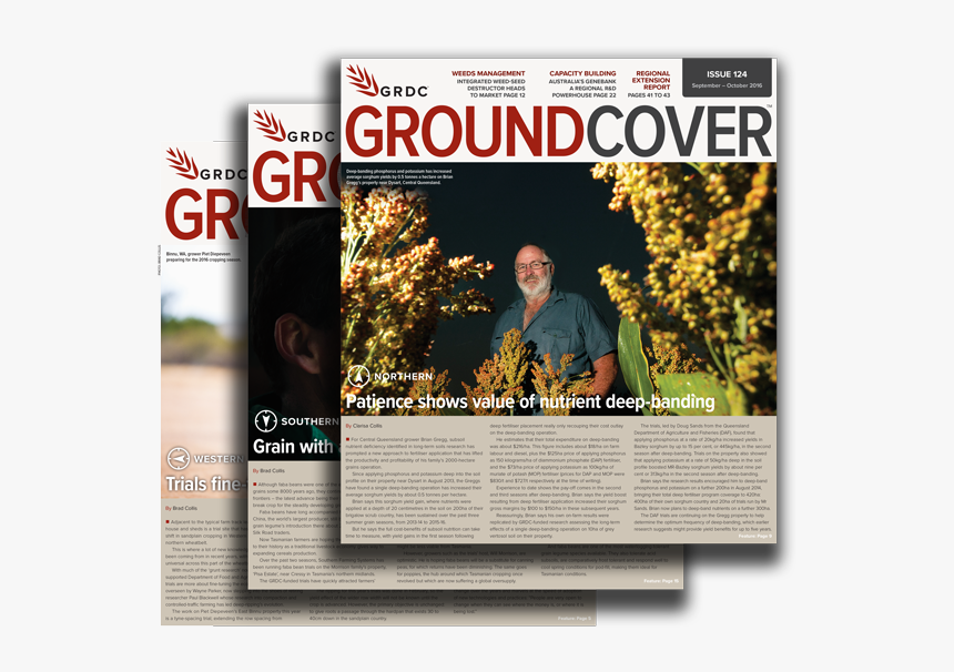 Flyer, HD Png Download