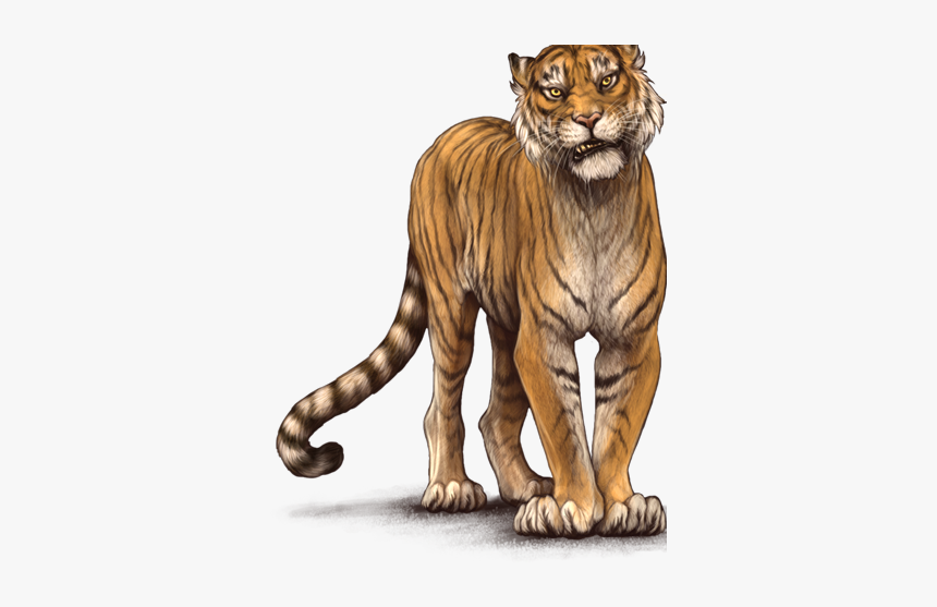 Siberian Tiger, HD Png Download