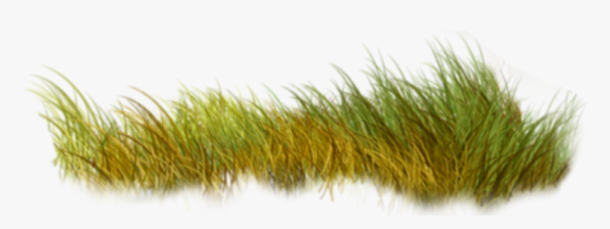 Grassland, HD Png Download
