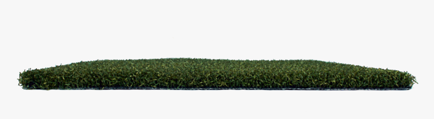 Hedge, HD Png Download