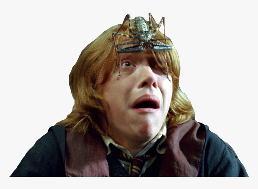 Harry Potter, HD Png Download