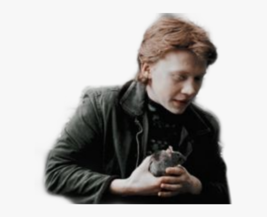 #ron #ronald #weasley #ronweasley #goldentrio #dumbledoresarmy - Gentleman, HD Png Download