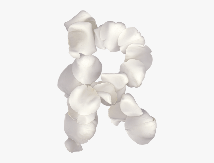 Bracelet, HD Png Download